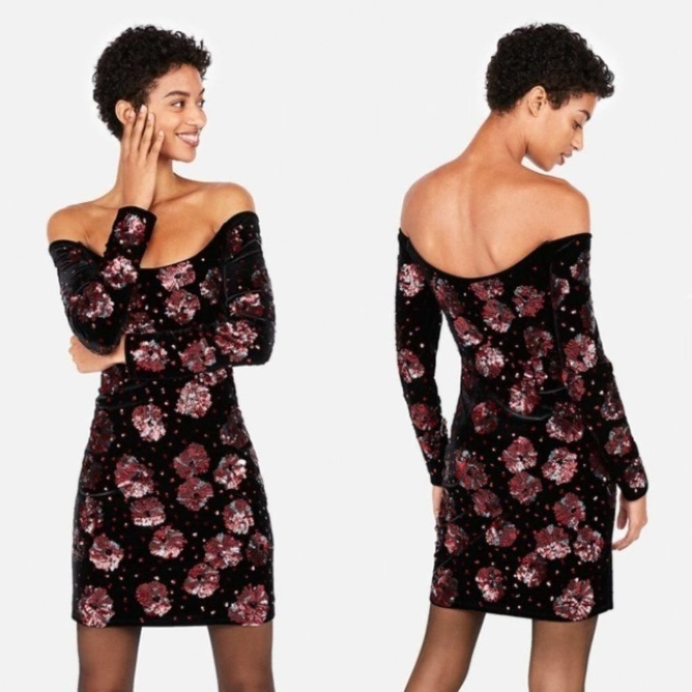 Express Edition Off The Shoulder Velvet Dress